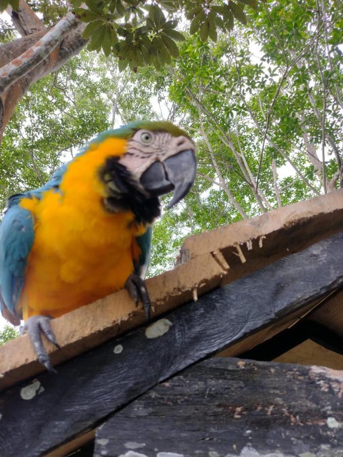 Hotel Alto Amazonas Leticia Eksteriør bilde